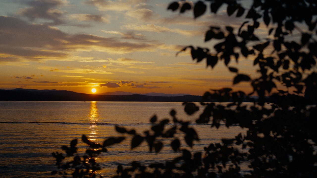 Maine Cinematography Frame