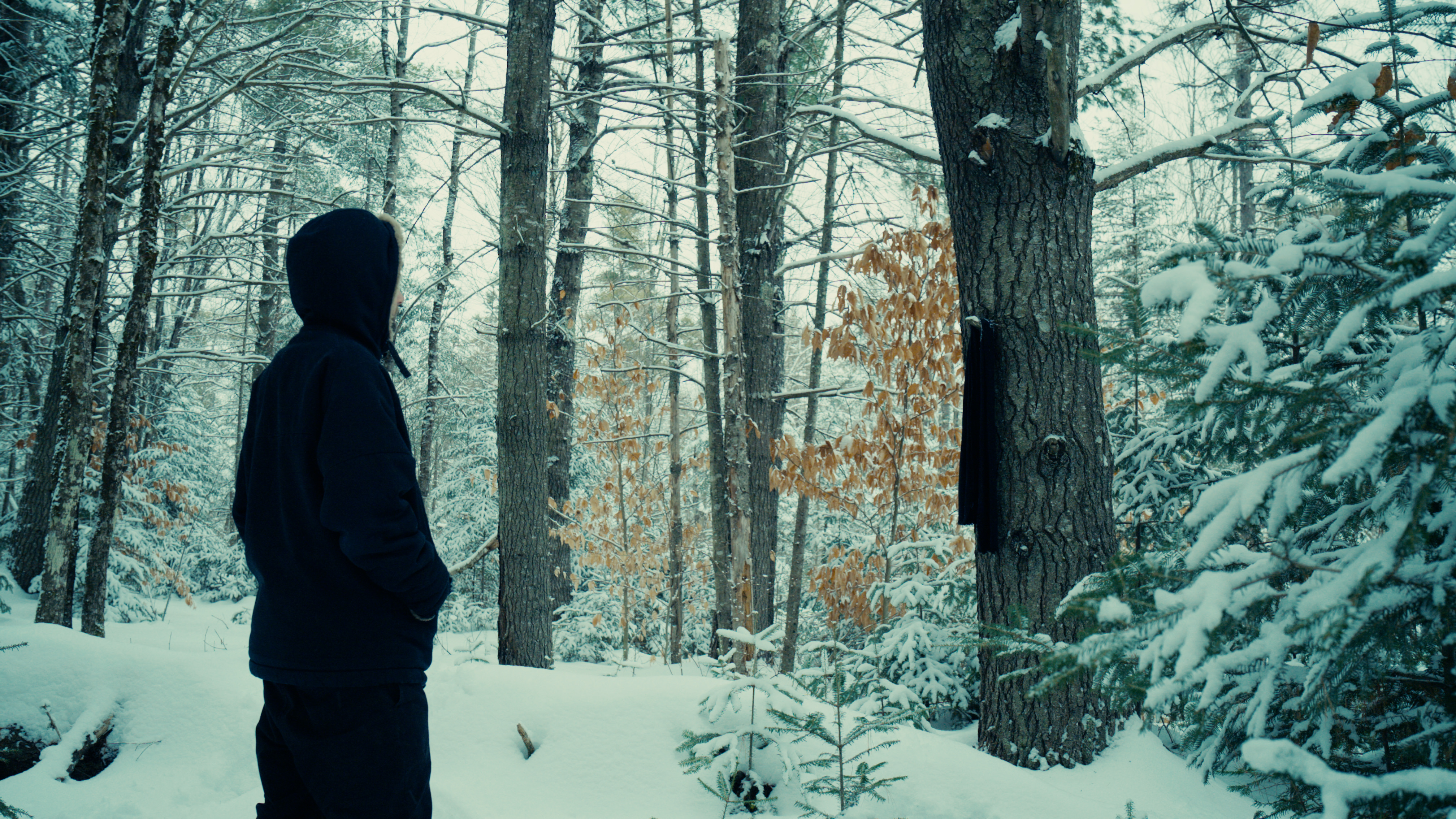 Maine Cinematography Frame